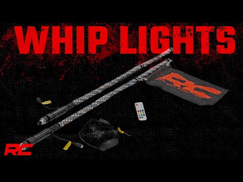 Whip Mount | Cage | 4' Multl-Color LED Whip Pair | Kawasaki Teryx4 800  - Video