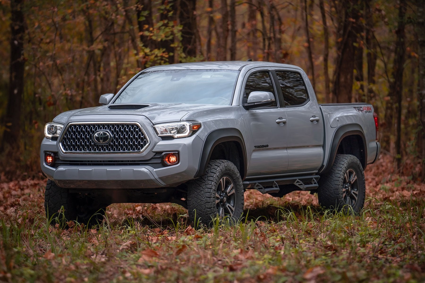 Fender Flares | Sport | 1D6 Silver Sky Metallic | Toyota Tacoma (16-23)
